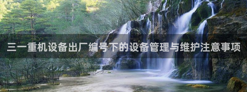 威九国际78cm
