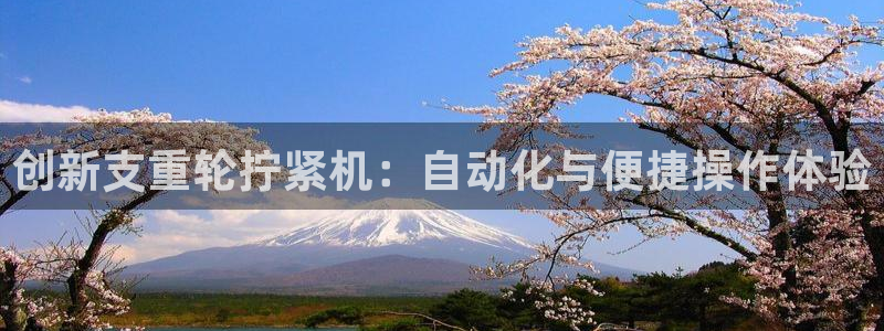威九国际ft