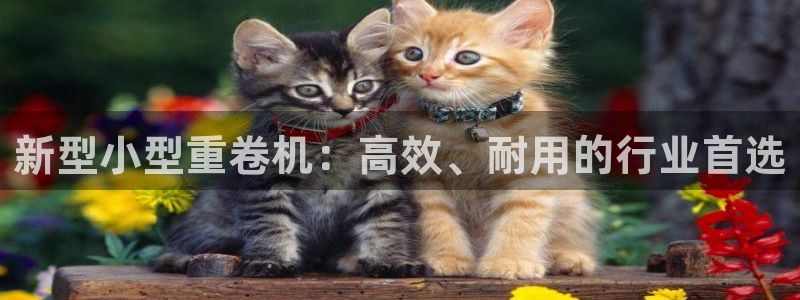威九国际可以提现吗现在
