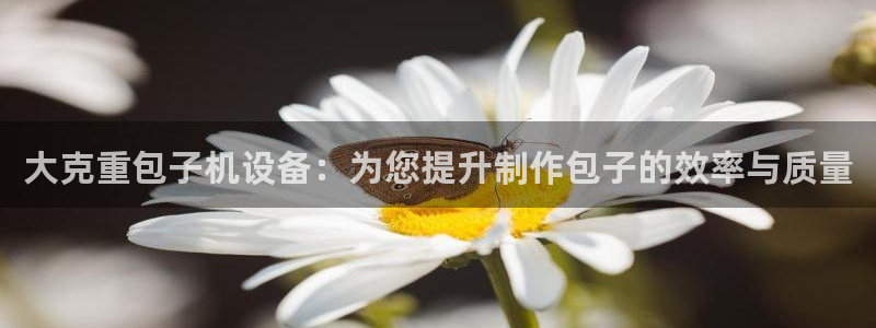 威九国际安全吗的认证团队