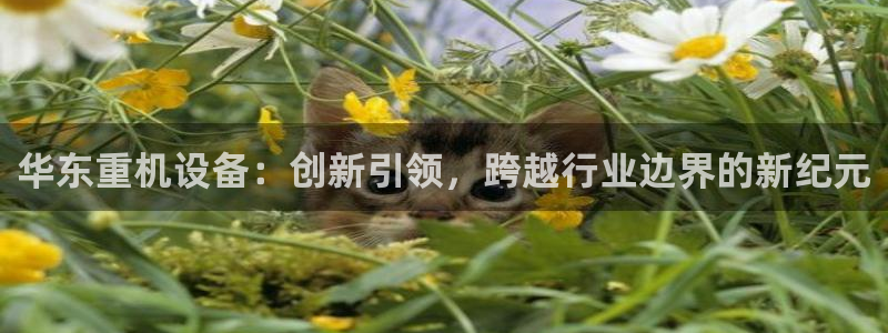 威九国际免费ppt网址：华东重机设备：创新引领，跨越行业边界