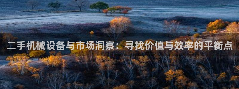 威九国际78mob游戏特色：二手机械设备与市场洞察：寻找价值