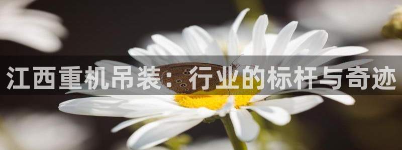威九国际免费