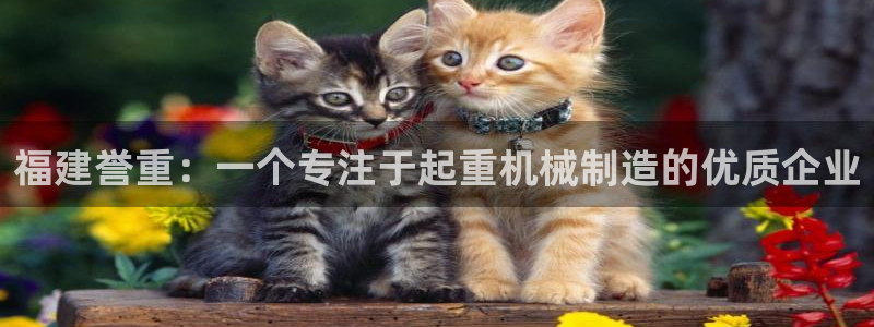 威九国际客服电话号码查询