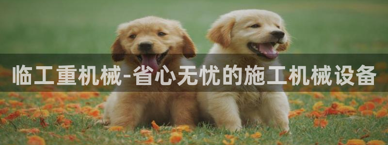 威九国际网站进入产品中心
