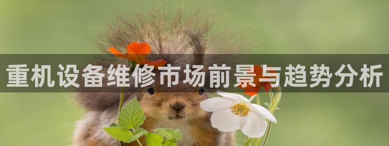 威九国际电视：重机设备维修市场前景与趋势分析