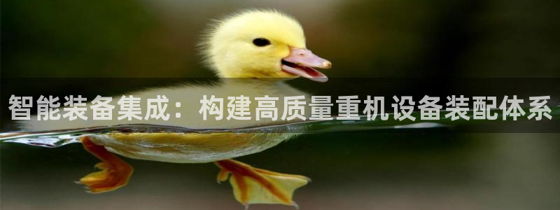 威九国际78mb玩法：智能装备集成：构建高质量重机设备装配体