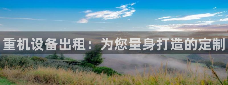 威九国际官网登录入口下载：重机设备出租：为您量身打造的定制