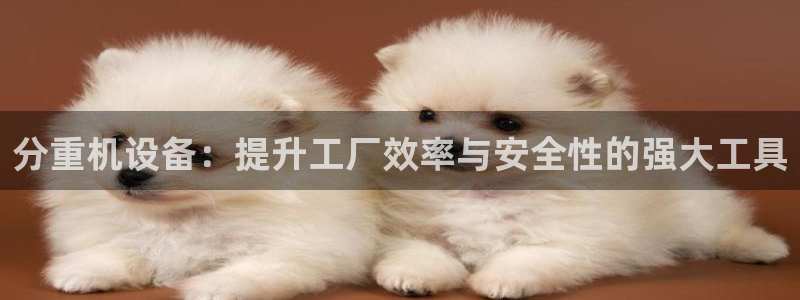 威九cp：分重机设备：提升工厂效率与安全性的强大工具