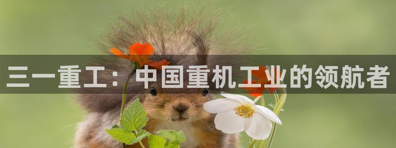 威九国际海域：三一重工：中国重机工业的领航者