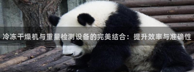 威九国际精忐