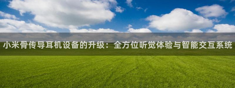 威九国际软件
