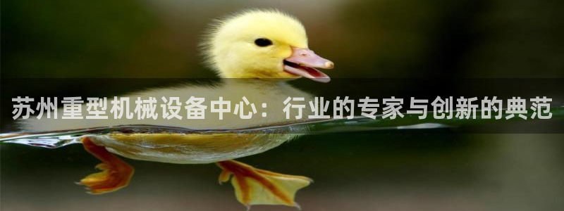 威九国际v8