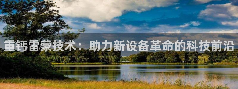 保定威九网络科技有限公司怎么样