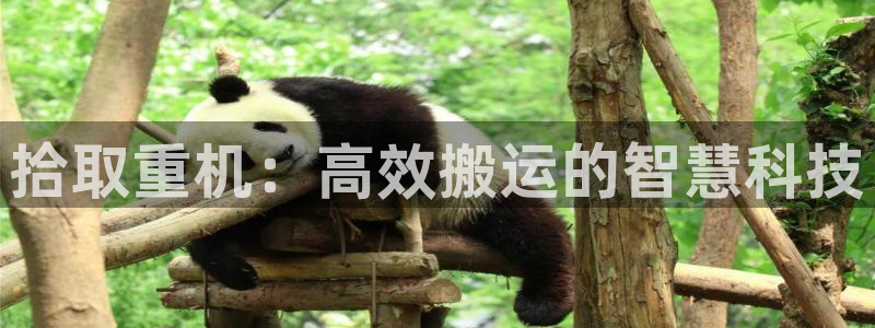 威九国际免费进入：拾取重机：高效搬运的智慧科技