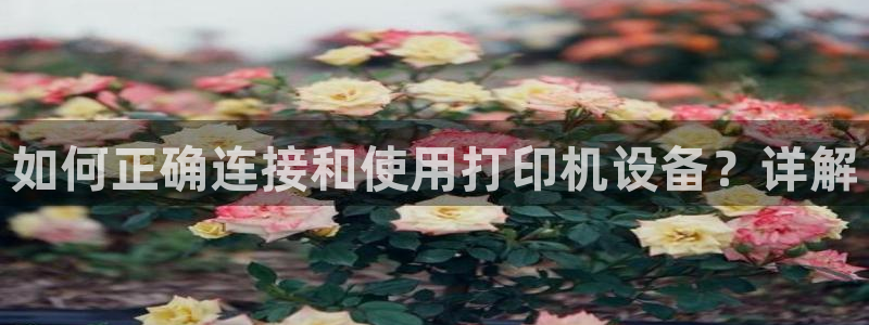 威九国际女艺人：如何正确连接和使用打印机设备？详解