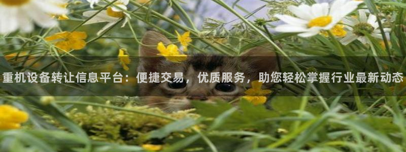 78mapp威九国际：重机设备转让信息平台：便捷交易，优质服