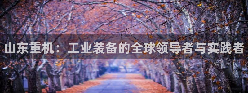 威九国际安全吗：山东重机：工业装备的全球领导者与实践者