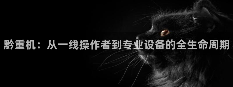 威九国际取款多到账：黔重机：从一线操作者到专业设备的全生命周